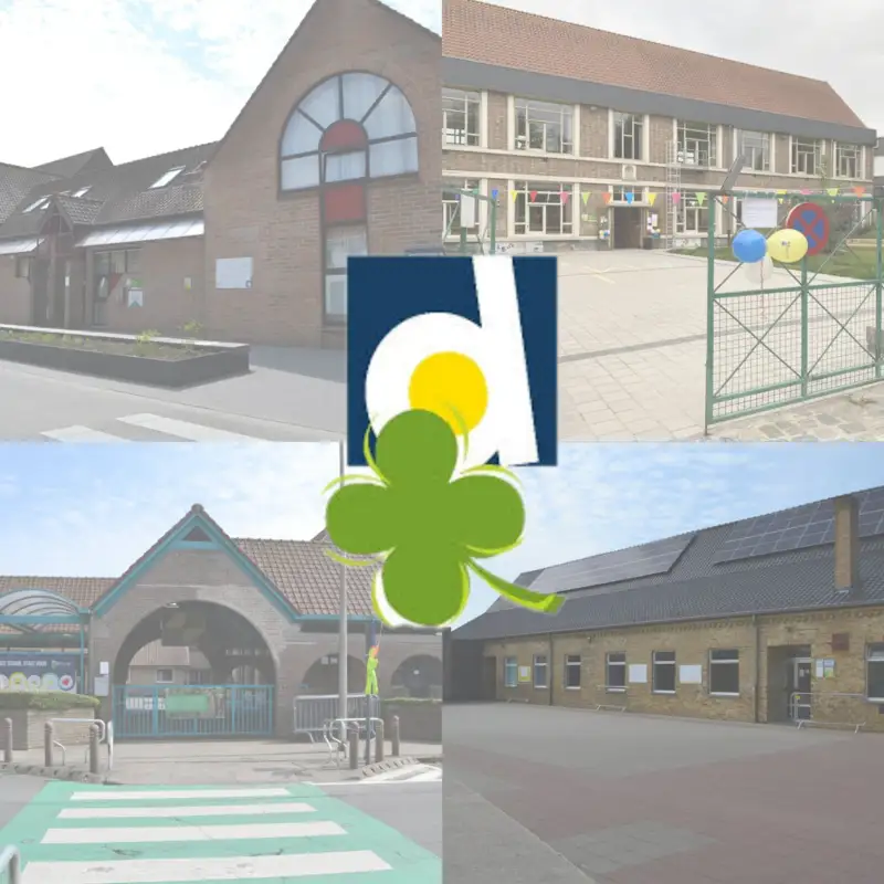Scholen Diksmuide
